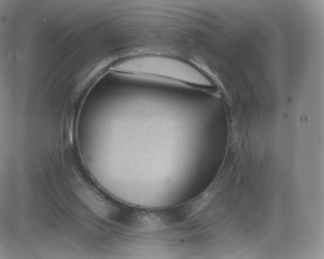 X0000081290062200701251703