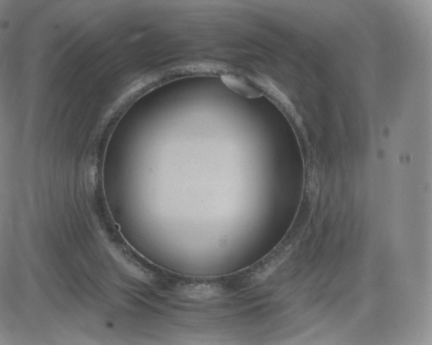 X0000081290063200701251703