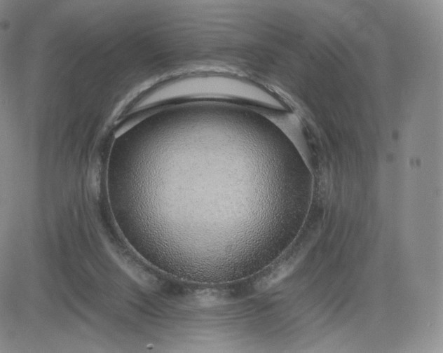 X0000081290064200701251703