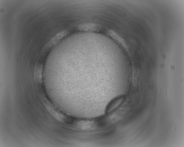 X0000081290065200701251703