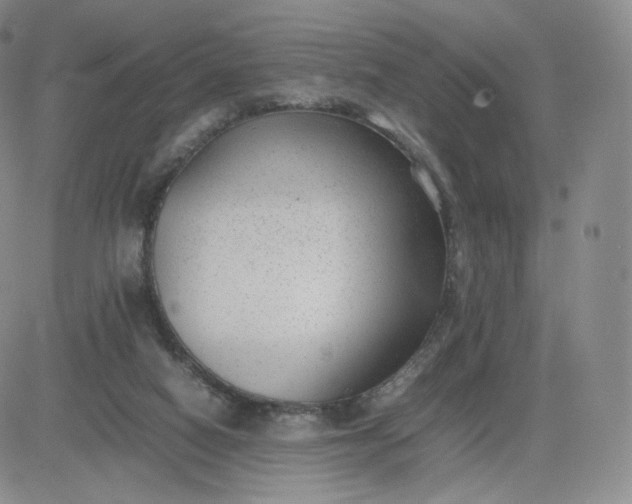 X0000081290066200701251703