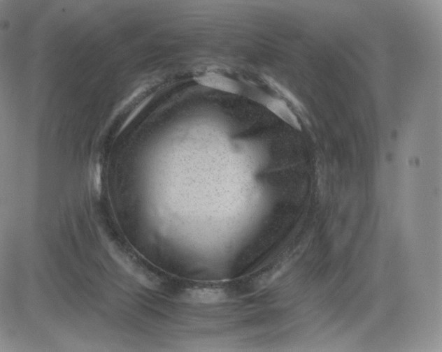 X0000081290067200701251703