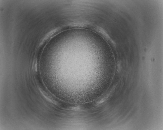 X0000081290068200701251703