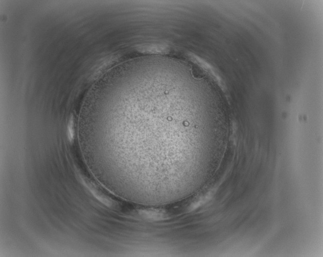 X0000081290069200701251703