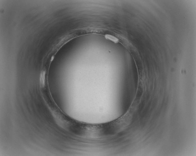 X0000081290070200701251703