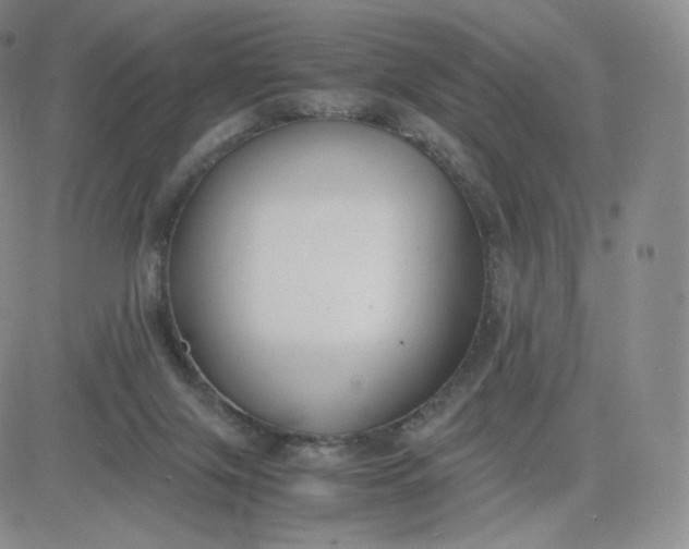 X0000081290071200701251703