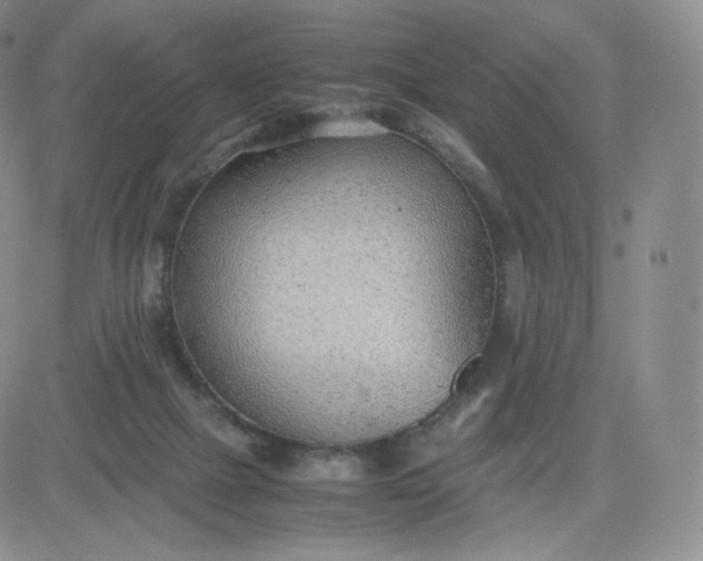 X0000081290073200701251703