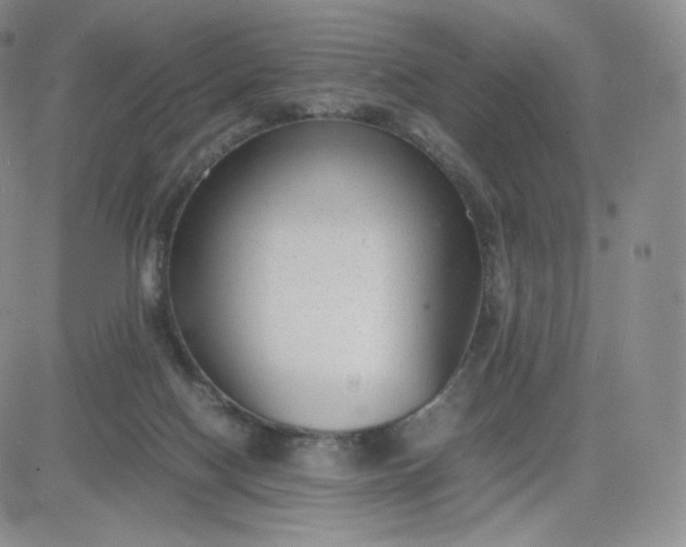 X0000081290074200701251703