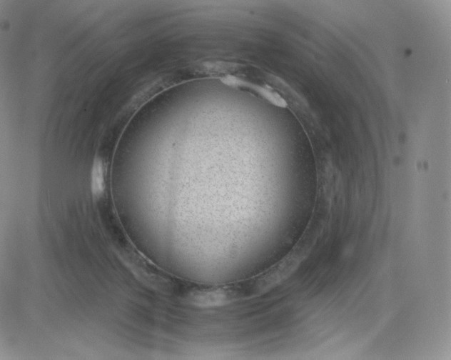 X0000081290075200701251703