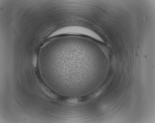 X0000081290076200701251703