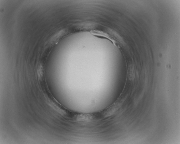 X0000081290077200701251703