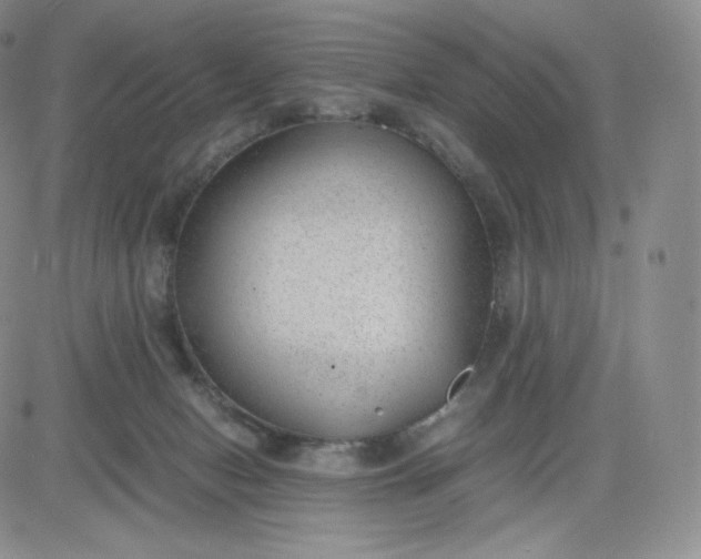 X0000081290078200701251703