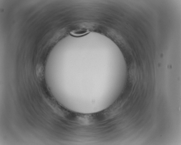 X0000081290079200701251703