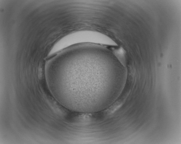 X0000081290080200701251703