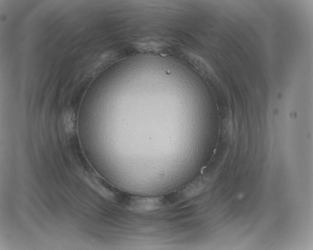 X0000081290081200701251703