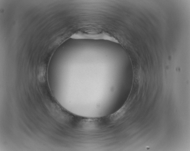 X0000081290082200701251703