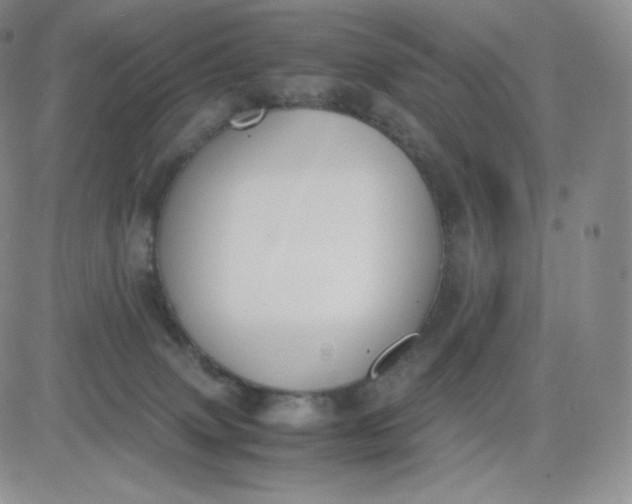 X0000081290083200701251703