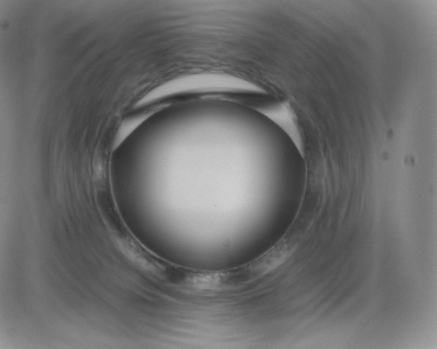 X0000081290084200701251703