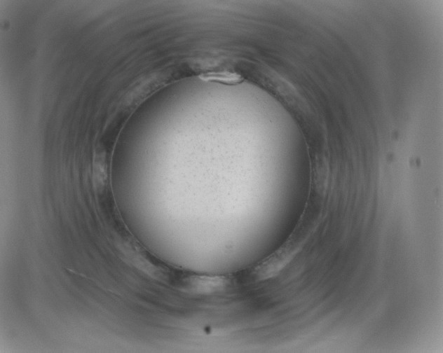 X0000081290085200701251703