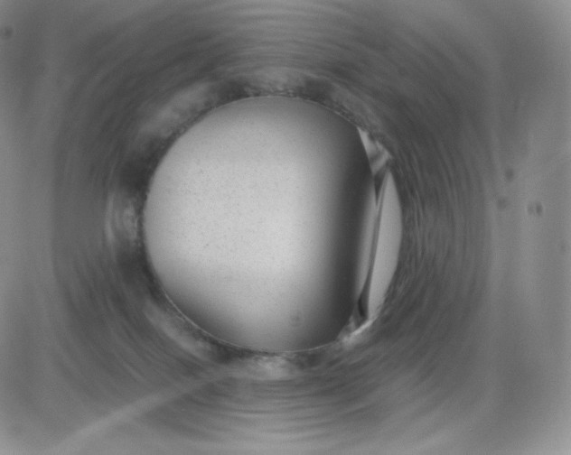 X0000081290086200701251703