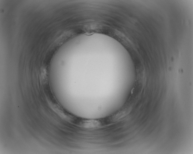 X0000081290087200701251703