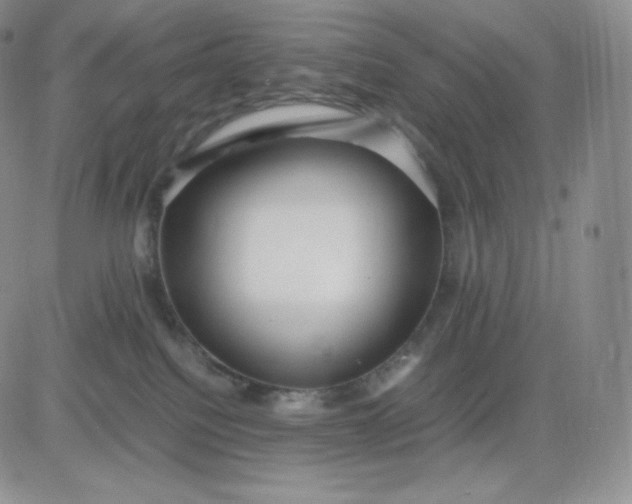 X0000081290088200701251703