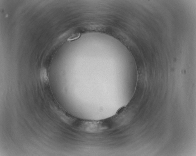 X0000081290089200701251703