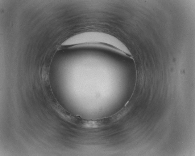 X0000081290091200701251703