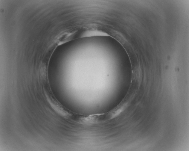 X0000081290092200701251703