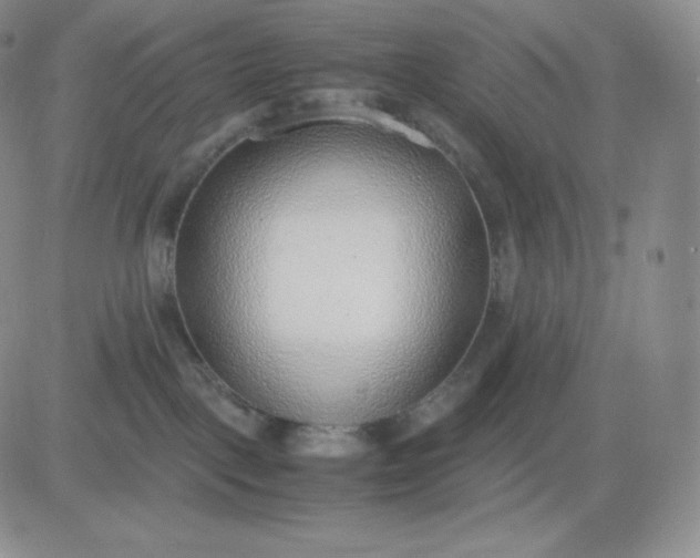 X0000081290093200701251704