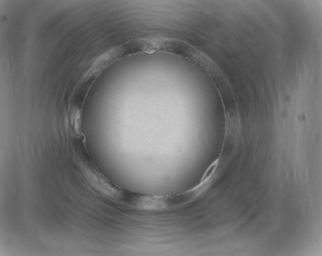 X0000081290094200701251704