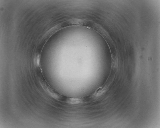 X0000081290095200701251704