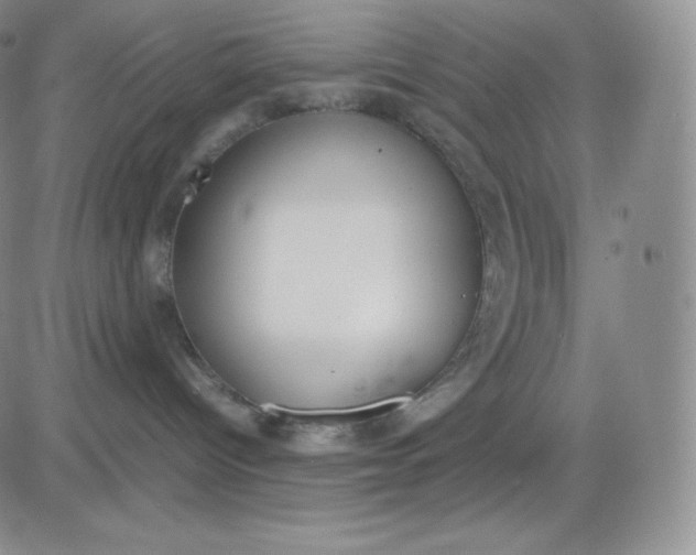 X0000081290096200701251704