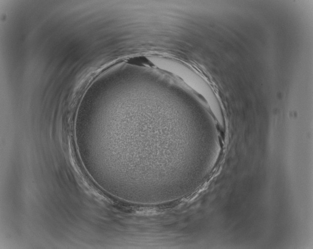 X0000081290097200701251703