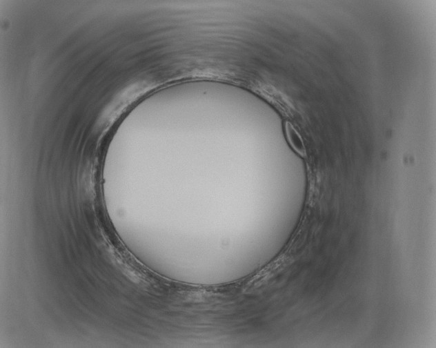 X0000081290098200701251703