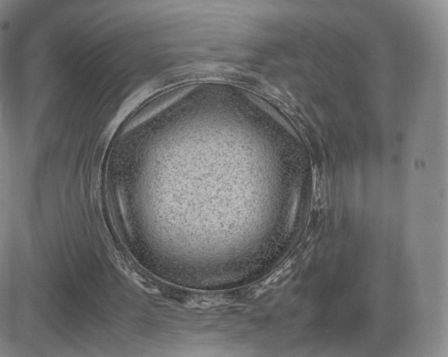 X0000081290099200701251703