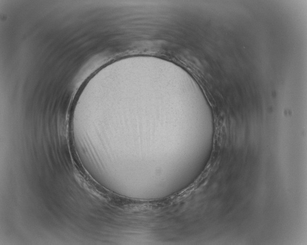 X0000081290100200701251703