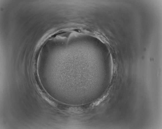 X0000081290101200701251703