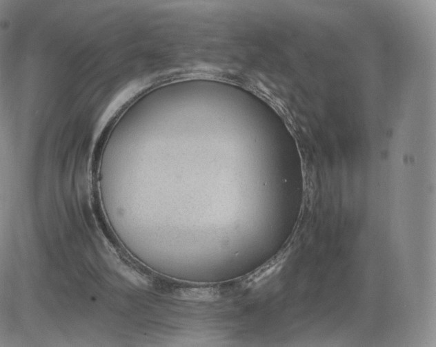 X0000081290102200701251703