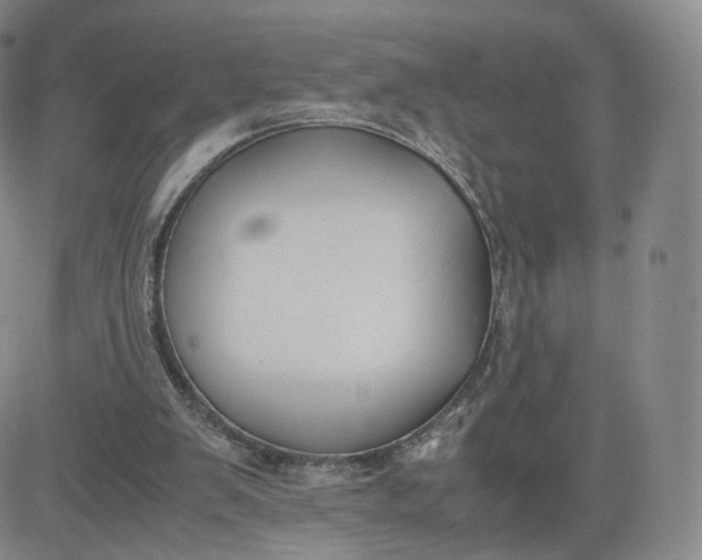 X0000081290103200701251703