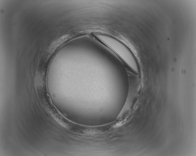 X0000081290105200701251703