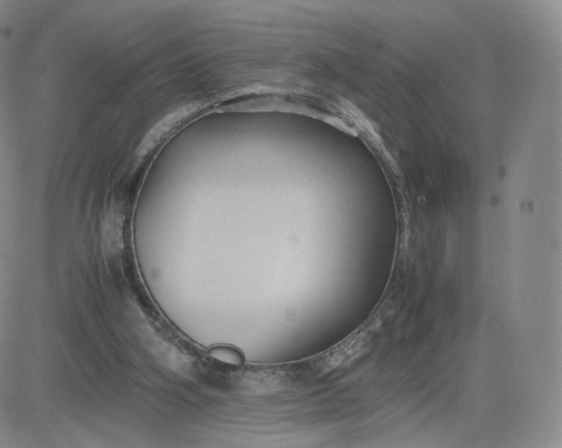 X0000081290106200701251703