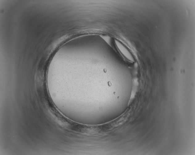 X0000081290107200701251703