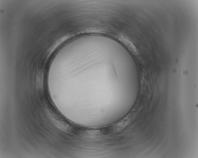 X0000081290108200701251703