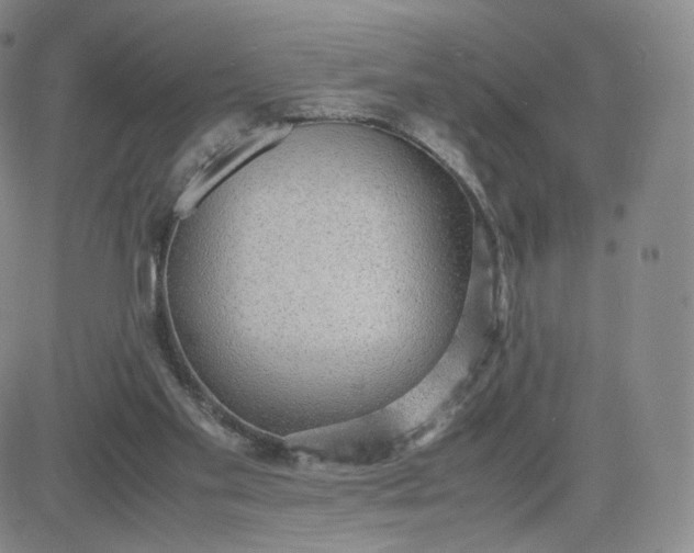 X0000081290109200701251703