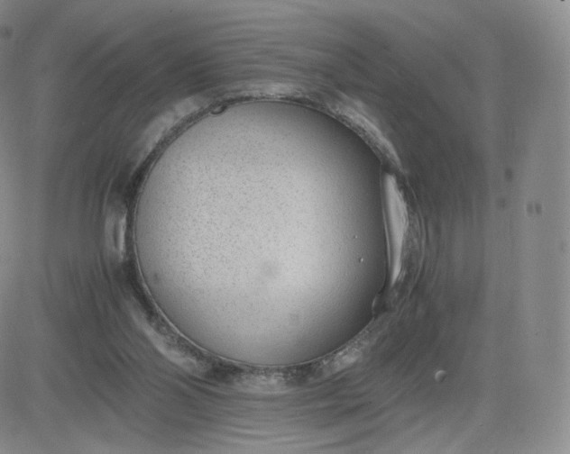 X0000081290110200701251703