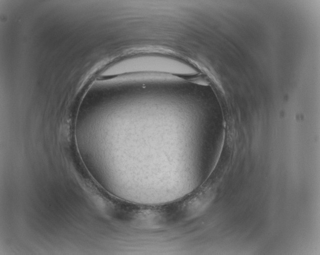 X0000081290111200701251703