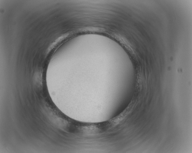 X0000081290112200701251703