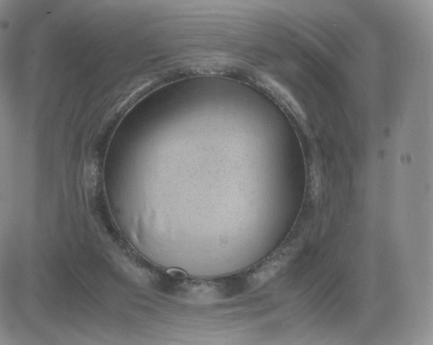 X0000081290113200701251703