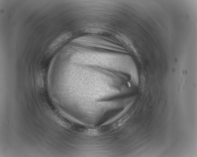 X0000081290114200701251702